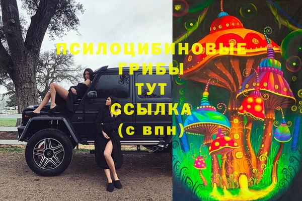 прущий лед Алексеевка