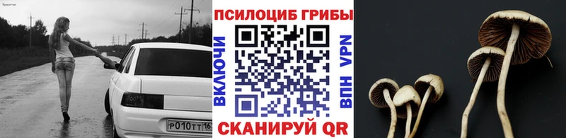 Псилоцибиновые грибы ЛСД  Буй 